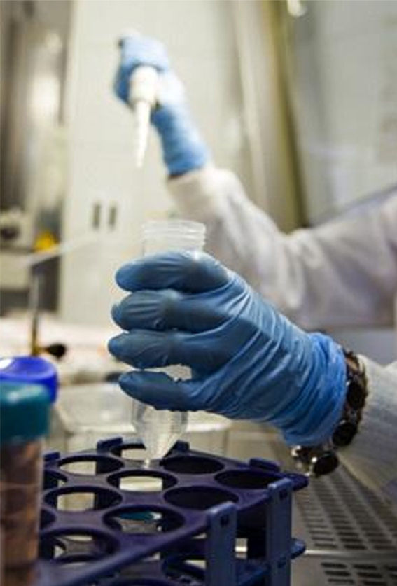 Dr Sailaja Sengupta (Nair)